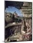 Saint Jerome Reading-Giovanni Bellini-Mounted Giclee Print