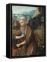 Saint Jerome-null-Framed Stretched Canvas