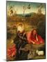 Saint John Baptist in Meditation-Hieronymus Bosch-Mounted Giclee Print