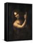 Saint John the Baptist, 1513-1516-Leonardo da Vinci-Framed Stretched Canvas