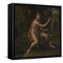 Saint John the Baptist, 1519 (Oil on Canvas)-Raphael (1483-1520)-Framed Stretched Canvas