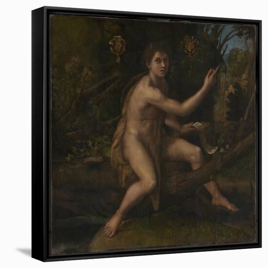 Saint John the Baptist, 1519-Raphael-Framed Stretched Canvas