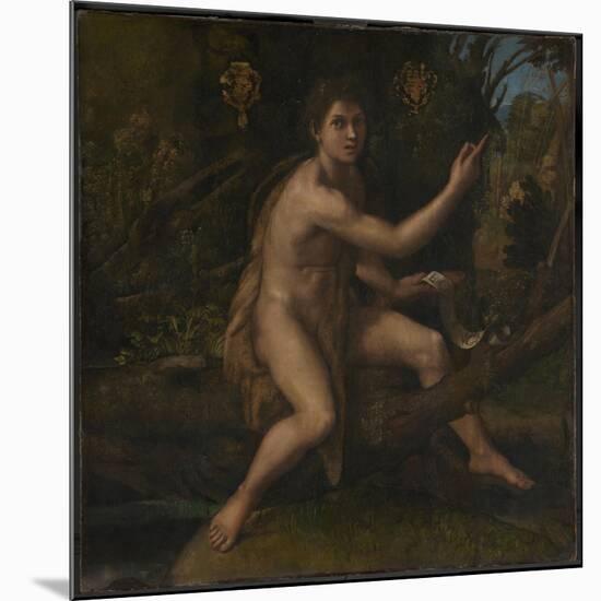 Saint John the Baptist, 1519-Raphael-Mounted Giclee Print