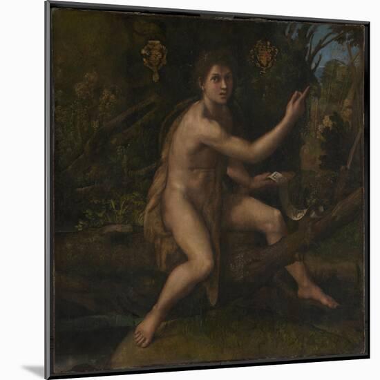 Saint John the Baptist, 1519-Raphael-Mounted Giclee Print