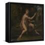 Saint John the Baptist, 1519-Raphael-Framed Stretched Canvas