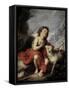 Saint John the Baptist as a Child, 1670-1680-Bartolome Esteban Murillo-Framed Stretched Canvas