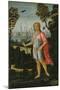 Saint John the Baptist, C.1480-Jacopo Del Sellaio-Mounted Giclee Print