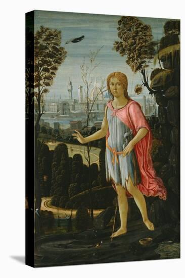 Saint John the Baptist, C.1480-Jacopo Del Sellaio-Stretched Canvas