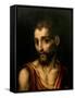 Saint John the Baptist, Ca. 1565-Luis De Morales-Framed Stretched Canvas