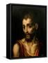 Saint John the Baptist, Ca. 1565-Luis De Morales-Framed Stretched Canvas
