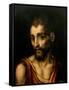 Saint John the Baptist, Ca. 1565-Luis De Morales-Framed Stretched Canvas