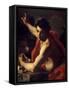 Saint John the Baptist, Ca. 1730-Francesco Solimena-Framed Stretched Canvas