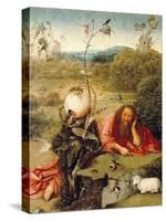 “ Saint John the Baptist Dozed in Nature ” Painting by Hieronymus Van Aeken (Aken) Says Jerome Bosc-Hieronymus Bosch-Stretched Canvas