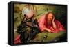 Saint John the Baptist in Meditation, C.1495-Hieronymus Bosch-Framed Stretched Canvas