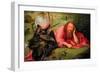 Saint John the Baptist in Meditation, C.1495-Hieronymus Bosch-Framed Giclee Print