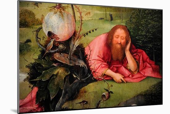 Saint John the Baptist in Meditation, C.1495-Hieronymus Bosch-Mounted Giclee Print