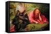 Saint John the Baptist in Meditation, C.1495-Hieronymus Bosch-Framed Stretched Canvas