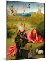 Saint John the Baptist in Meditation, C.1495-Hieronymus Bosch-Mounted Giclee Print