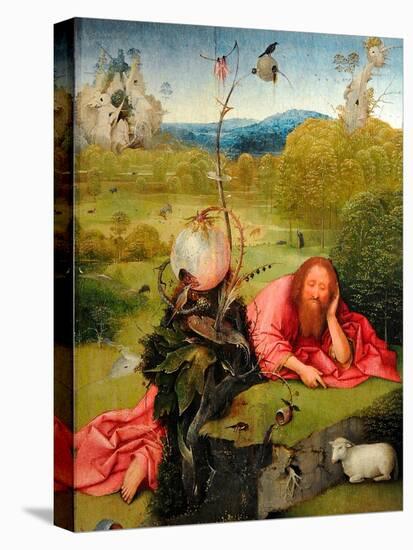 Saint John the Baptist in Meditation, C.1495-Hieronymus Bosch-Stretched Canvas