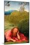 Saint John the Baptist in Meditation, C.1495-Hieronymus Bosch-Mounted Giclee Print