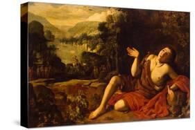 Saint John the Baptist in the Desert, 1630-Francisco Collantes-Stretched Canvas
