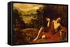 Saint John the Baptist in the Desert, 1630-Francisco Collantes-Framed Stretched Canvas