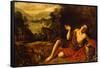 Saint John the Baptist in the Desert, 1630-Francisco Collantes-Framed Stretched Canvas