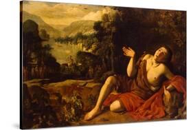 Saint John the Baptist in the Desert, 1630-Francisco Collantes-Stretched Canvas