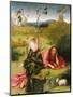 Saint John the Baptist in the Desert, Late 15th C-Hieronymus Bosch-Mounted Giclee Print