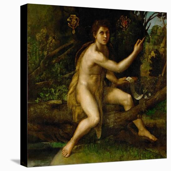 Saint John the Baptist in the Desert, Showing the Cross of the Passion-Raphael-Stretched Canvas