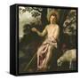 Saint John the Baptist in the Wilderness, C.1622-Diego Velazquez-Framed Stretched Canvas