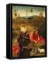 Saint John the Baptist In the Wilderness, Ca. 1489-Hieronymus Bosch-Framed Stretched Canvas