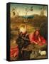 Saint John the Baptist In the Wilderness, Ca. 1489-Hieronymus Bosch-Framed Stretched Canvas