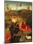 Saint John the Baptist In the Wilderness, Ca. 1489-Hieronymus Bosch-Mounted Giclee Print