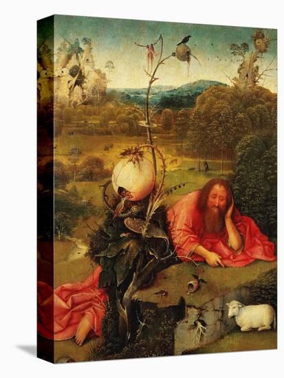 Saint John the Baptist In the Wilderness, Ca. 1489-Hieronymus Bosch-Stretched Canvas