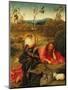 Saint John the Baptist In the Wilderness, Ca. 1489-Hieronymus Bosch-Mounted Giclee Print
