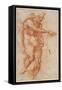 Saint John the Baptist (Stud), Ca 1518-Andrea del Sarto-Framed Stretched Canvas