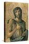 Saint John the Baptist-Alvise Vivarini-Stretched Canvas