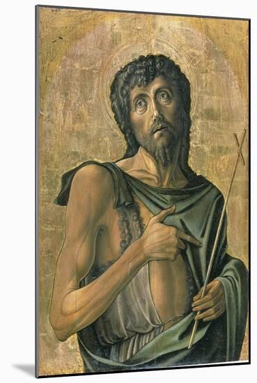 Saint John the Baptist-Alvise Vivarini-Mounted Giclee Print