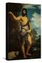 Saint John the Baptist-Titian (Tiziano Vecelli)-Stretched Canvas