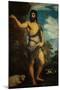 Saint John the Baptist-Titian (Tiziano Vecelli)-Mounted Giclee Print
