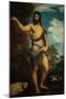 Saint John the Baptist-Titian (Tiziano Vecelli)-Mounted Giclee Print