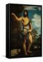 Saint John the Baptist-Titian (Tiziano Vecelli)-Framed Stretched Canvas