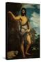 Saint John the Baptist-Titian (Tiziano Vecelli)-Stretched Canvas