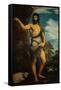 Saint John the Baptist-Titian (Tiziano Vecelli)-Framed Stretched Canvas