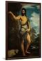 Saint John the Baptist-Titian (Tiziano Vecelli)-Framed Giclee Print