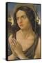 Saint John the Baptist-Raffaellino del Garbo-Framed Stretched Canvas