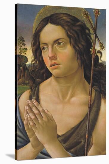 Saint John the Baptist-Raffaellino del Garbo-Stretched Canvas