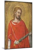 Saint Julian-Taddeo Gaddi-Mounted Art Print