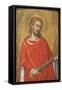 Saint Julian-Taddeo Gaddi-Framed Stretched Canvas